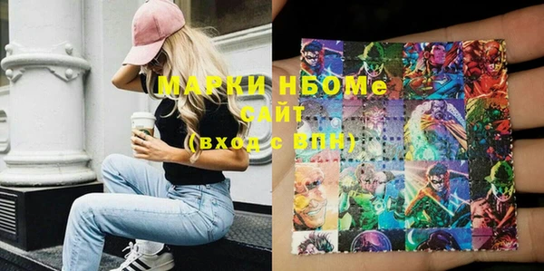 прущие грибы Алзамай