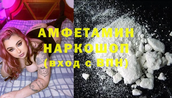 прущие грибы Алзамай