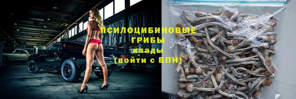 прущие грибы Алзамай