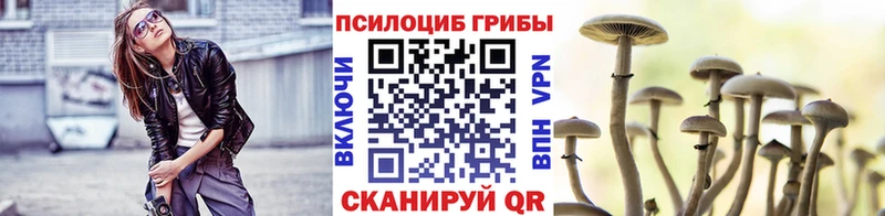 Псилоцибиновые грибы GOLDEN TEACHER Фролово